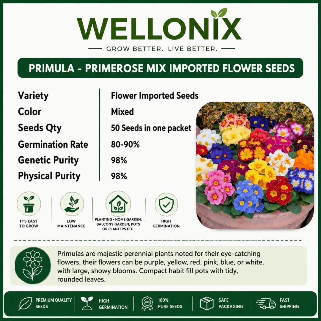 Premium Primrose Flower Seeds – Mixed Colors(200+ Seeds) | FREE Gardening Gift Included 🎁